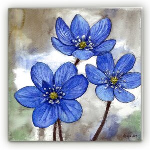 Greeting card "Blue harbingers of spring"