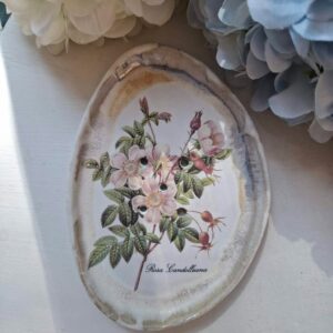 Ceramic soap dish