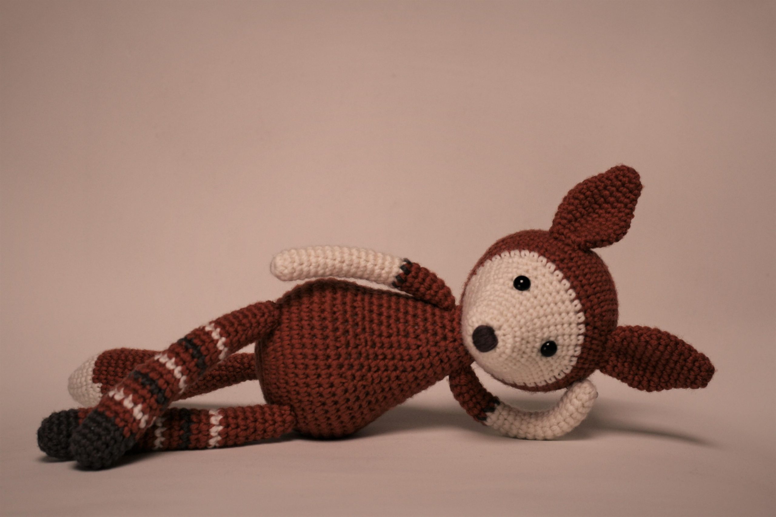 Heegeldatud rebasepoiss