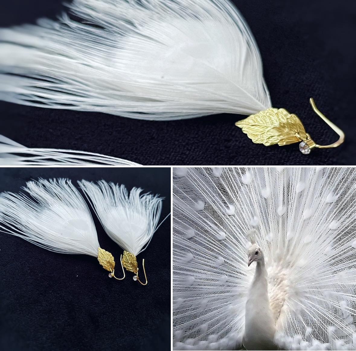 Kaunid, valge paabulinnu sulgedega kõrvarõngad