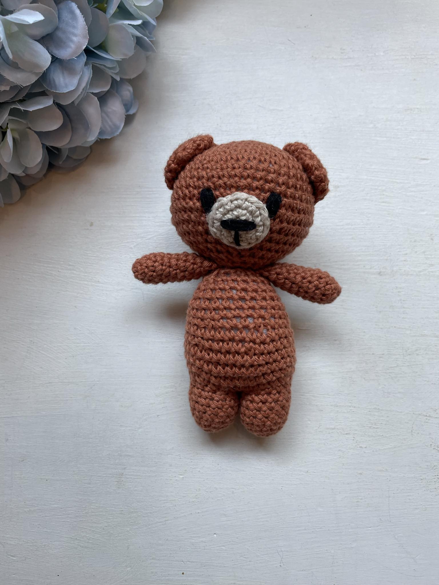 Heegeldatud pruun karu