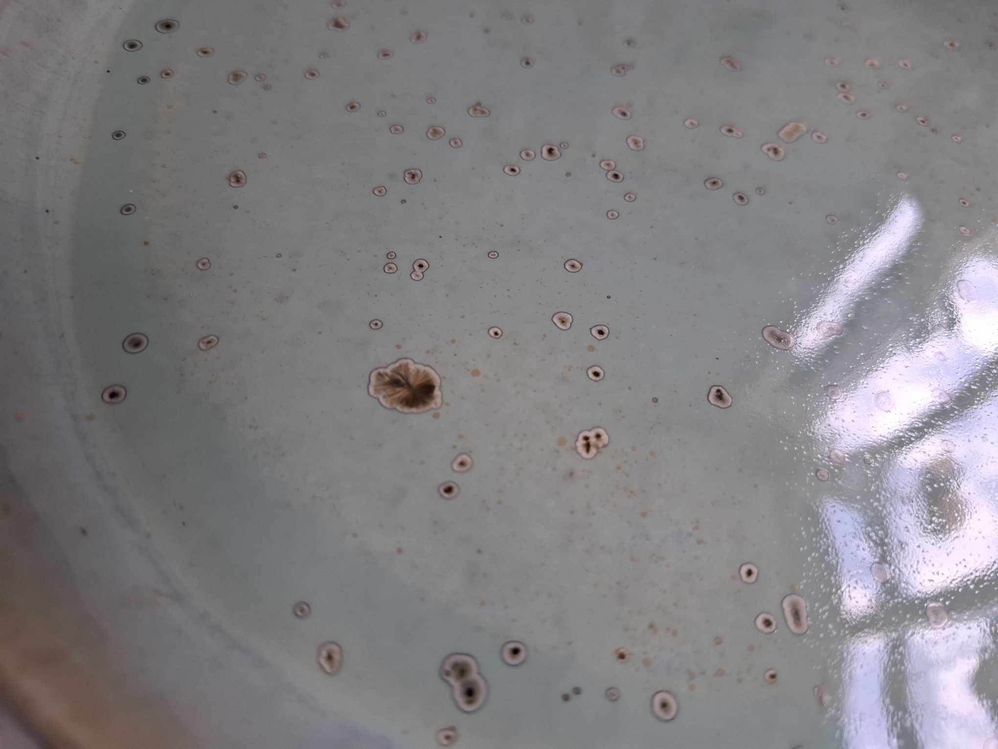 Kaunis keraamiline vaagen "Maasikad"