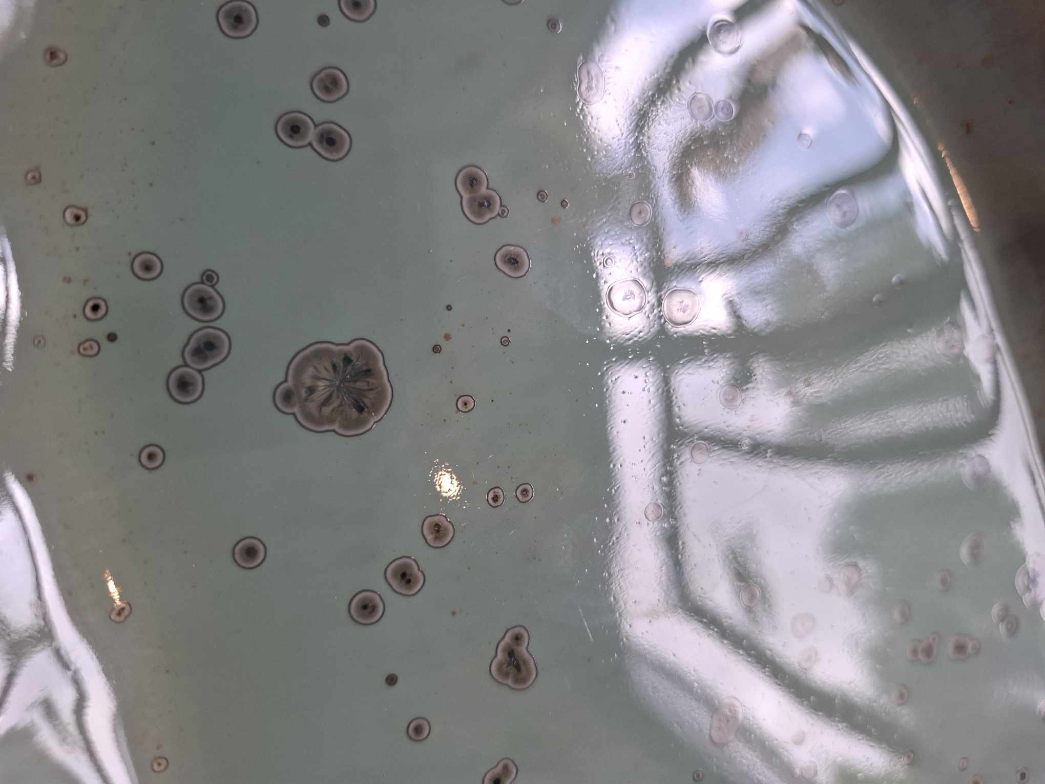 Kaunis keraamiline vaagen "Maasikad"