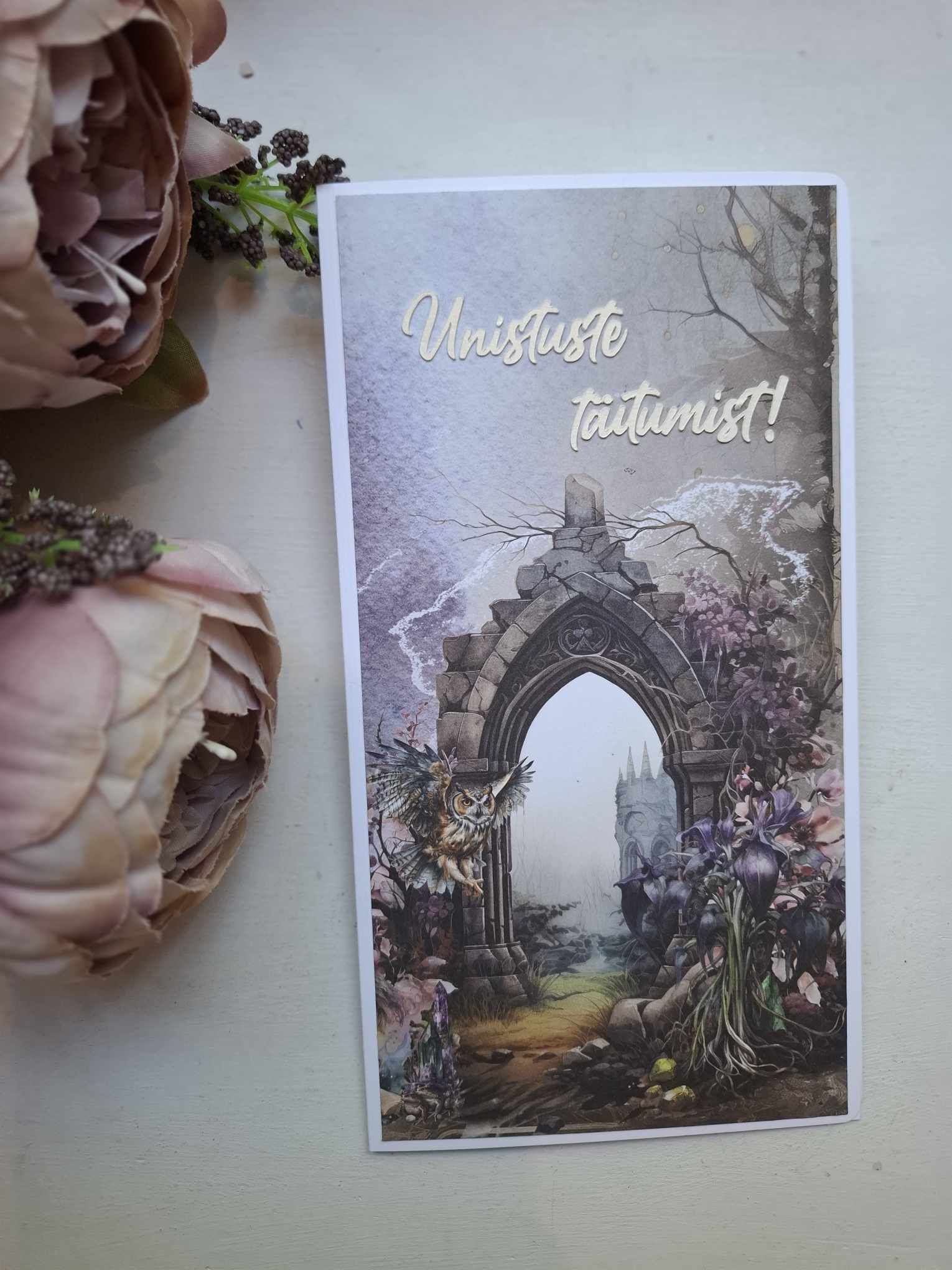 Õnnitluskaart rahataskuga "Öökull"- "Unistuste täitumist!"