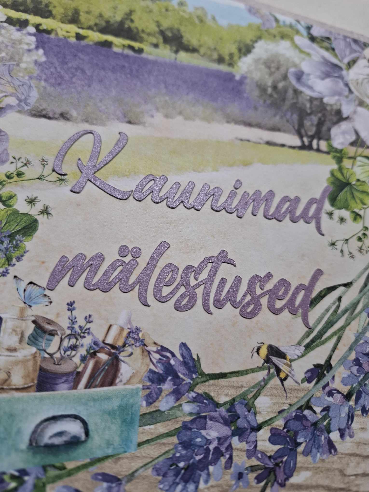 Belgiaköites album "Kaunimad mälestused", lavendlipõld