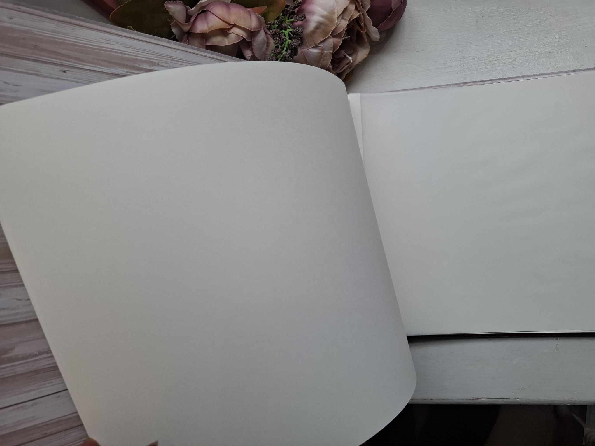 Belgiaköites album "Kaunimad mälestused", lavendlipõld