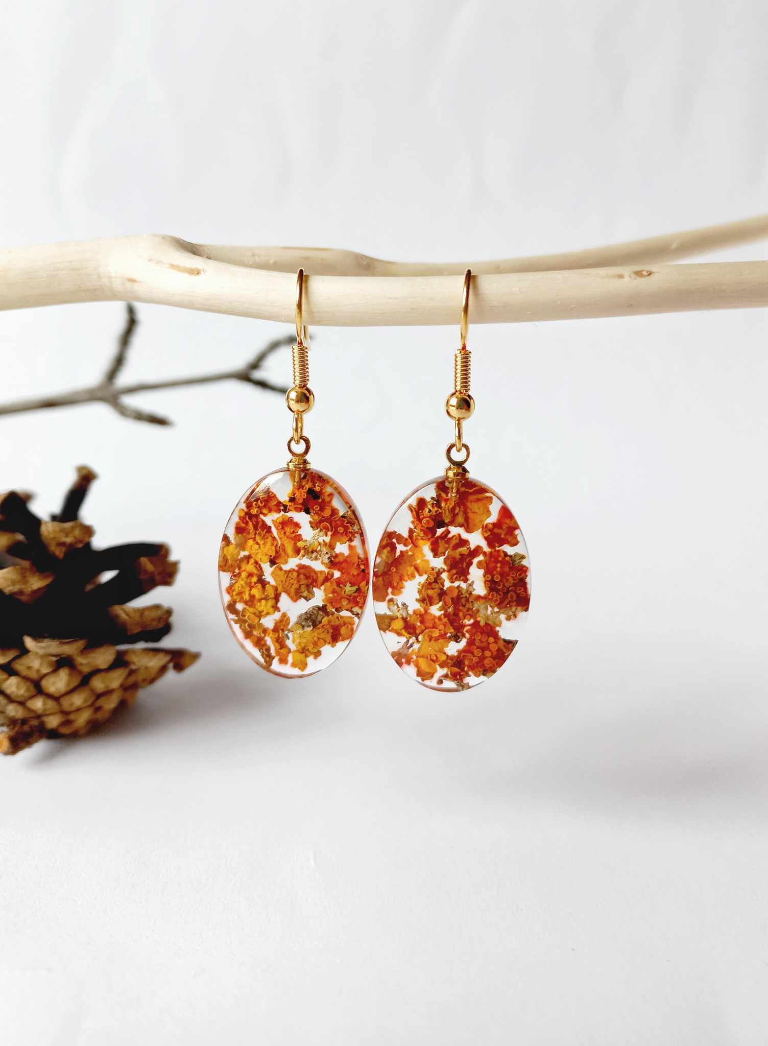 Kõrvarõngad epoksiidvaigust Ja kuivatatud taimedest - korpsamblik