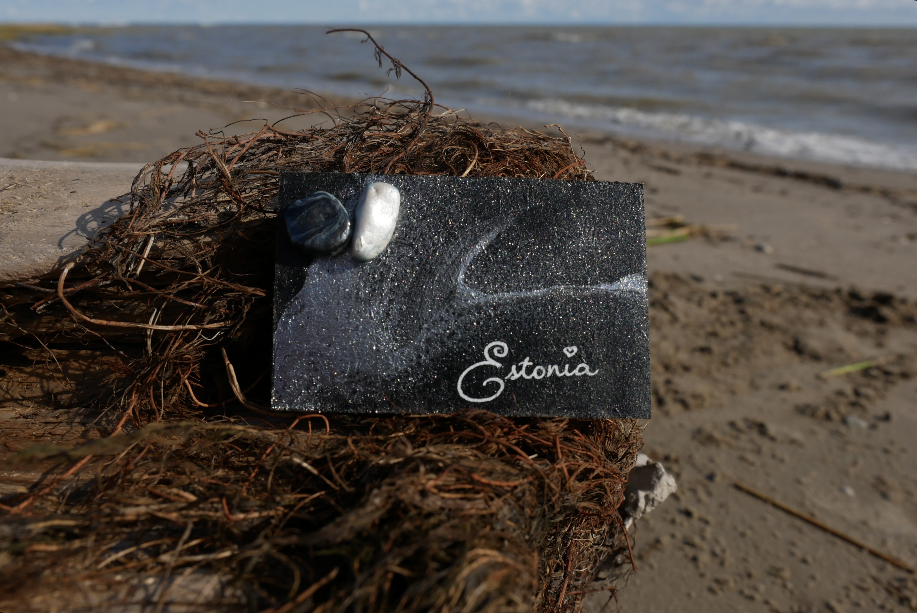 Kaunis magnet "Estonia"