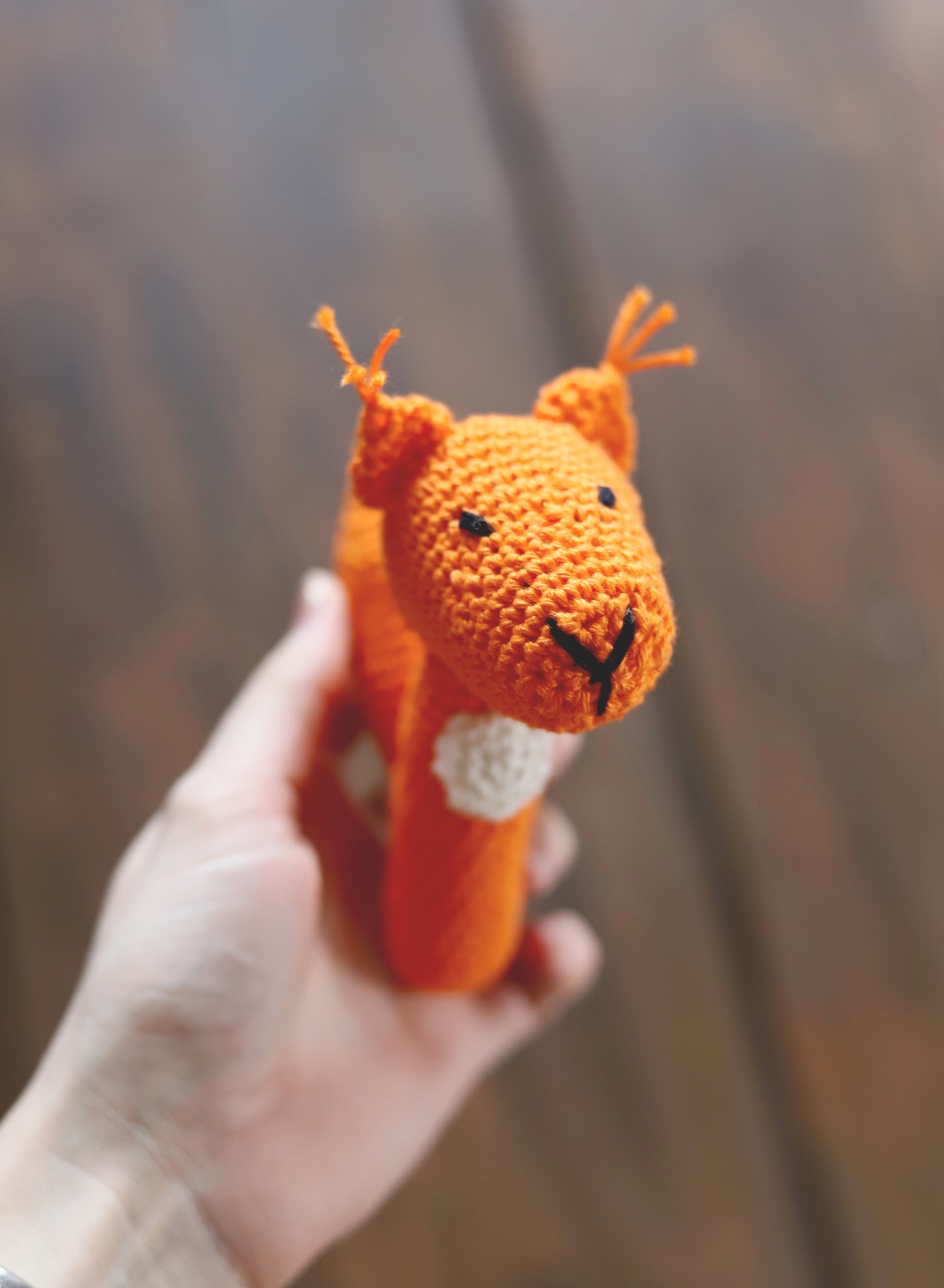 Heegeldatud kõristi orav