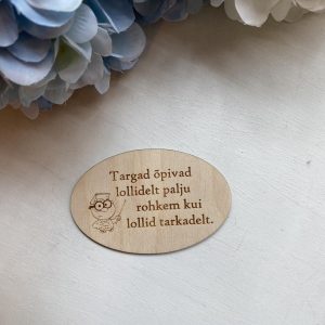 Magnet "Targad õpivad lollidelt palju rohkem kui lollid tarkadelt."