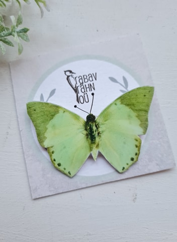 Mururohelist värvi liblikakujuline pross