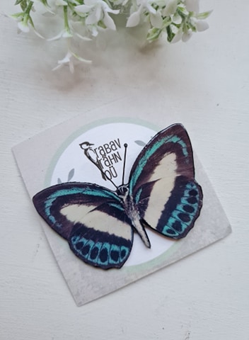 Kirju liblikakujuline pross