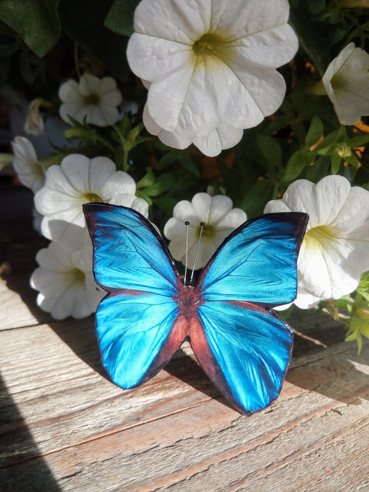 Mahedalt sinine liblikakujuline pross