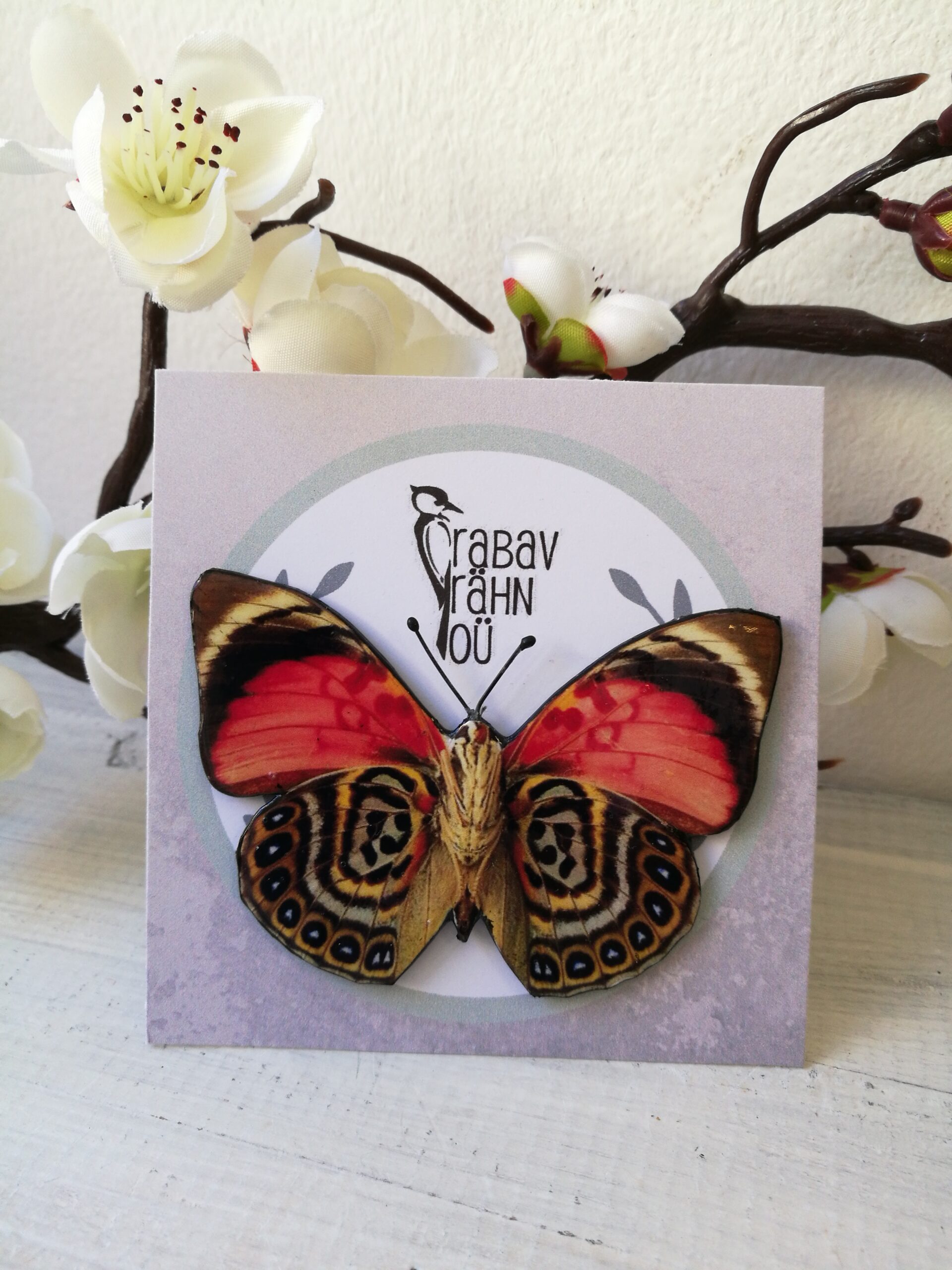 Pruuni ja punase värviga liblikakujuline pross