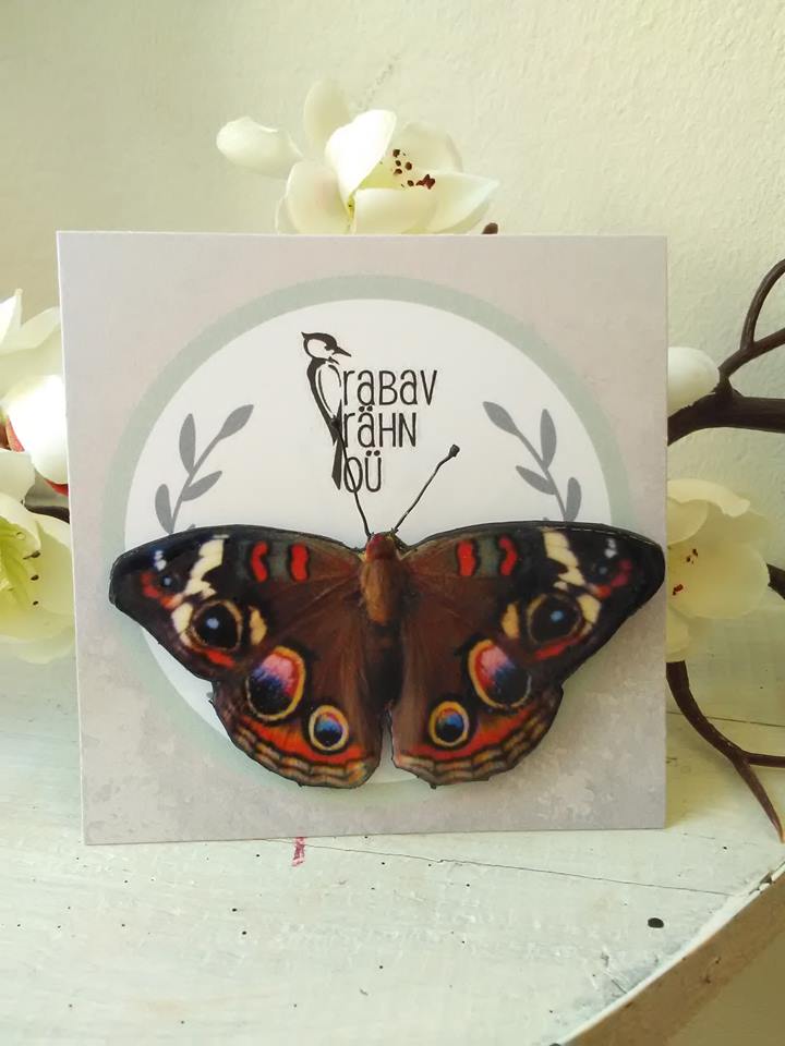 Vikerkaare värvides liblikakujuline pross