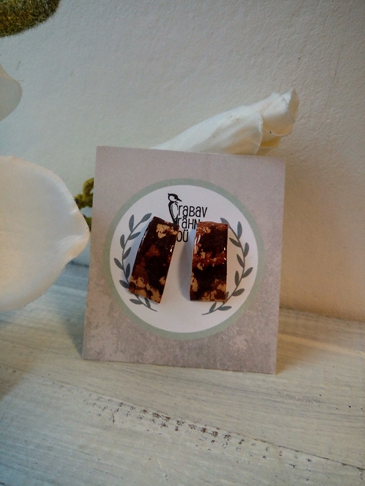 Pisikesed Kõrvarõngad Kasetohust