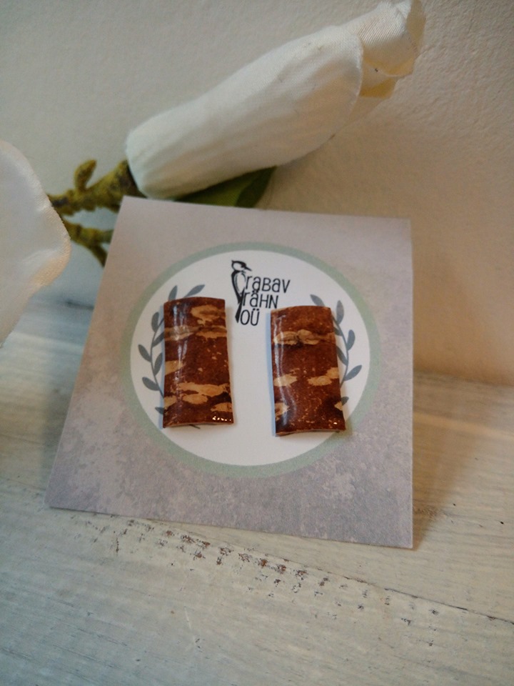 Kasetohust pisikesed kõrvarõngad