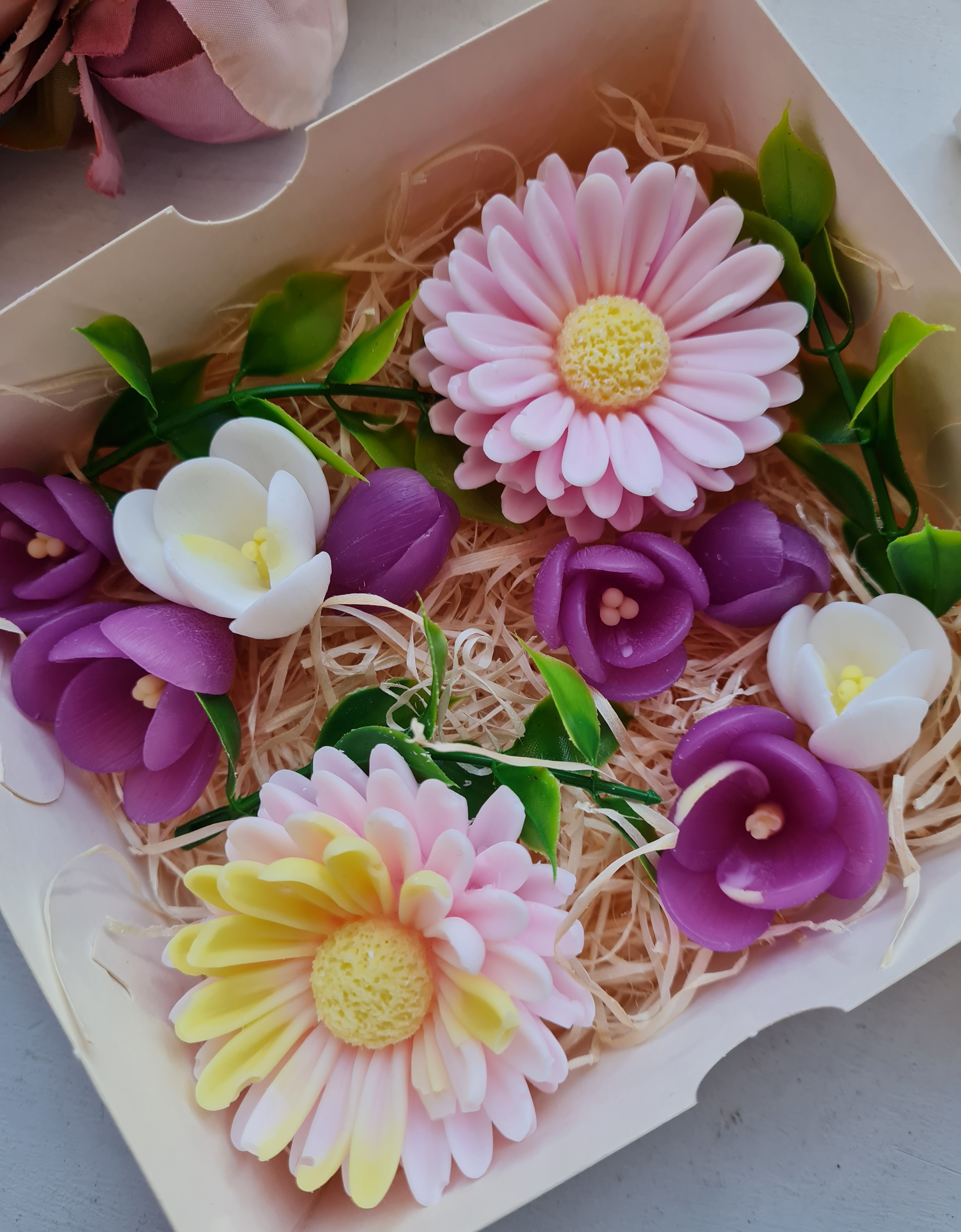 Seebikomplekt krookused, astrid
