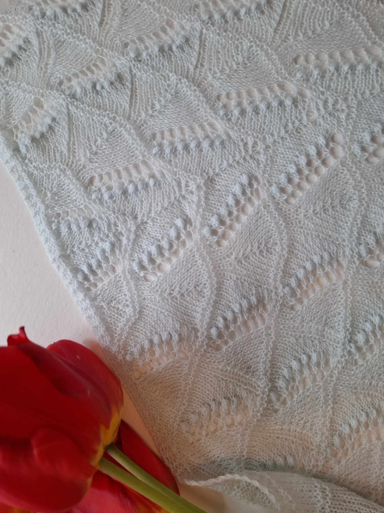 Haapsalu kolmnurkne rätt, Piibelehe kirjaga, helesinine