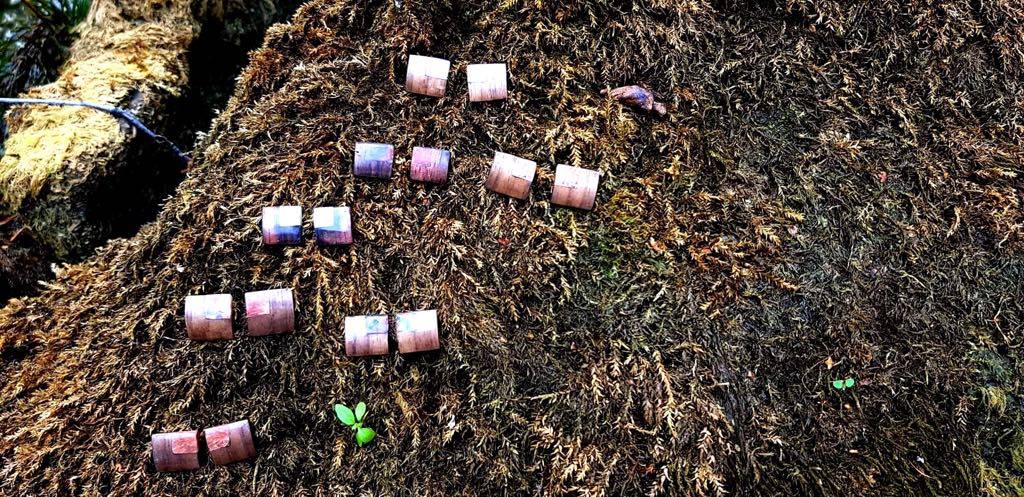 Käsitsi valmistatud punaka merekiviga roosipuust kõrvarõngad