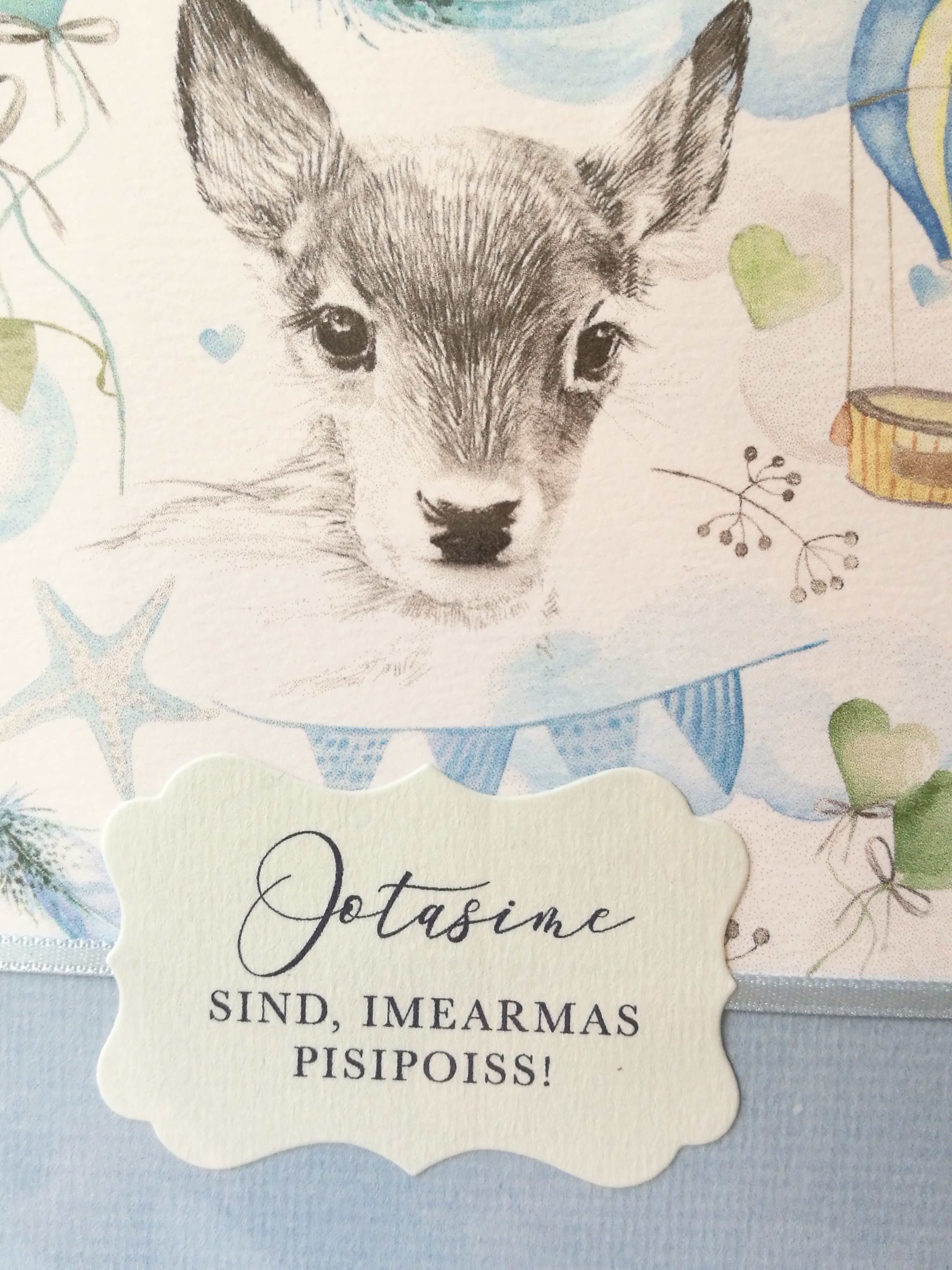 Katsikute õnnitluskaart "Ootasime.."
